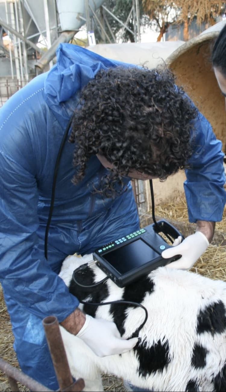 Sociedad Veterinaria del Eo