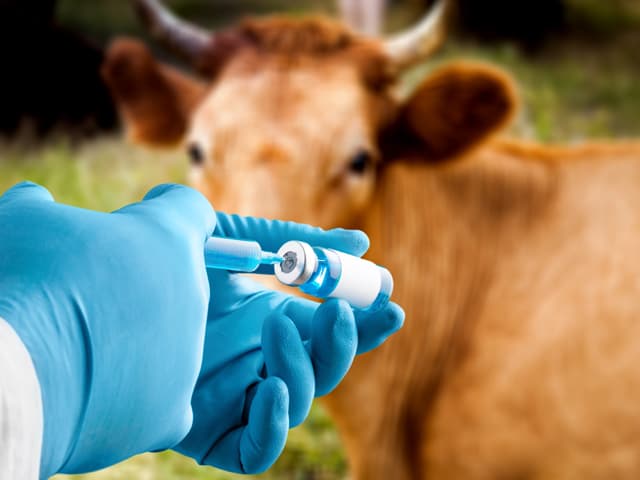 Contactar con Sociedad Veterinaria del Eo en Vegadeo