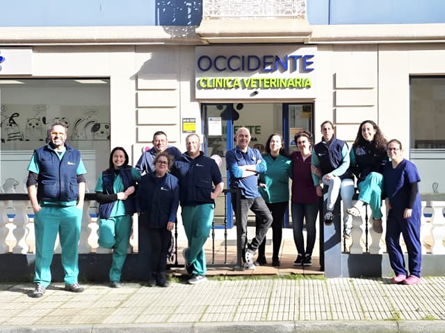 Tu centro veterinario en Vegadeo - Sociedad Veterinaria del Eo