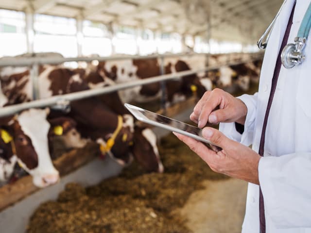 Profesionales de Sociedad Veterinaria del Eo en Vegadeo